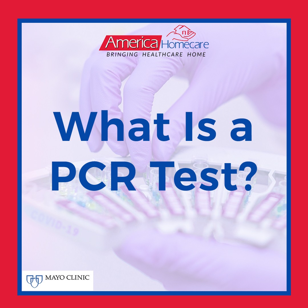 what is a pcr test